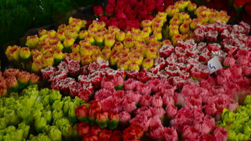 mercato fiori